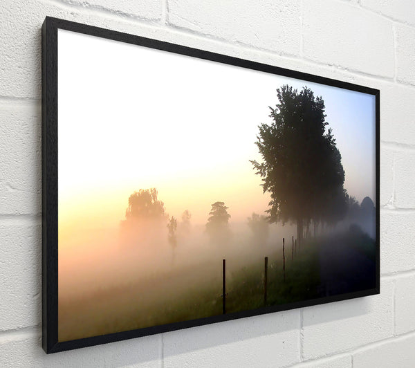 Mist In The English Countryside