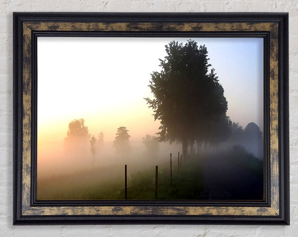 Mist In The English Countryside Framed Print