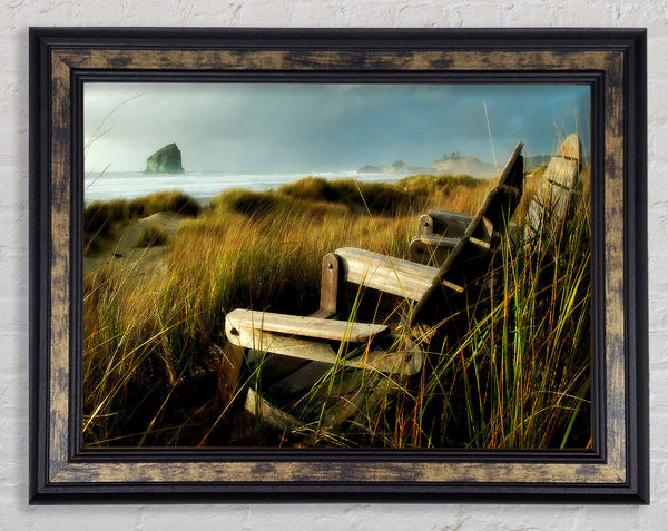 Coast Dunes Framed Print
