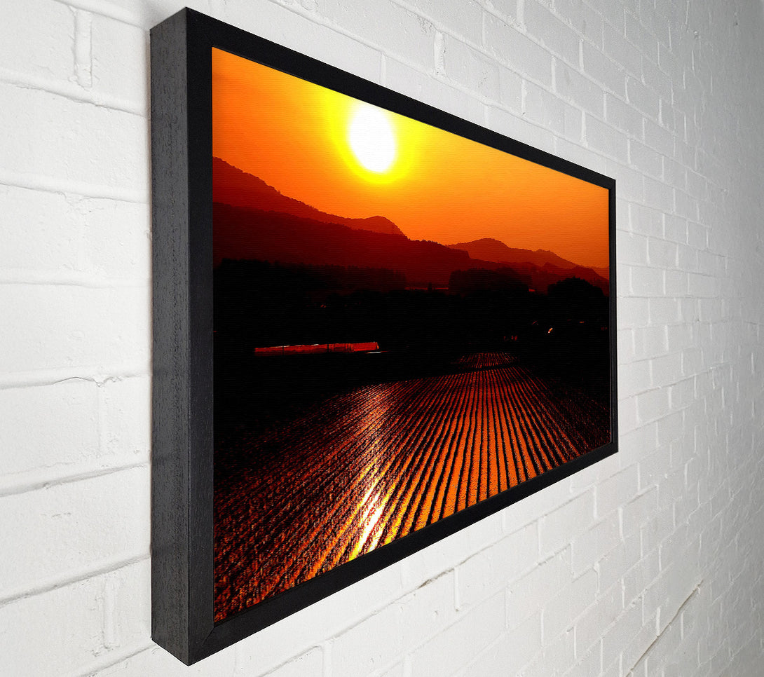  A Canvas Print of Rice Field Canvas Print