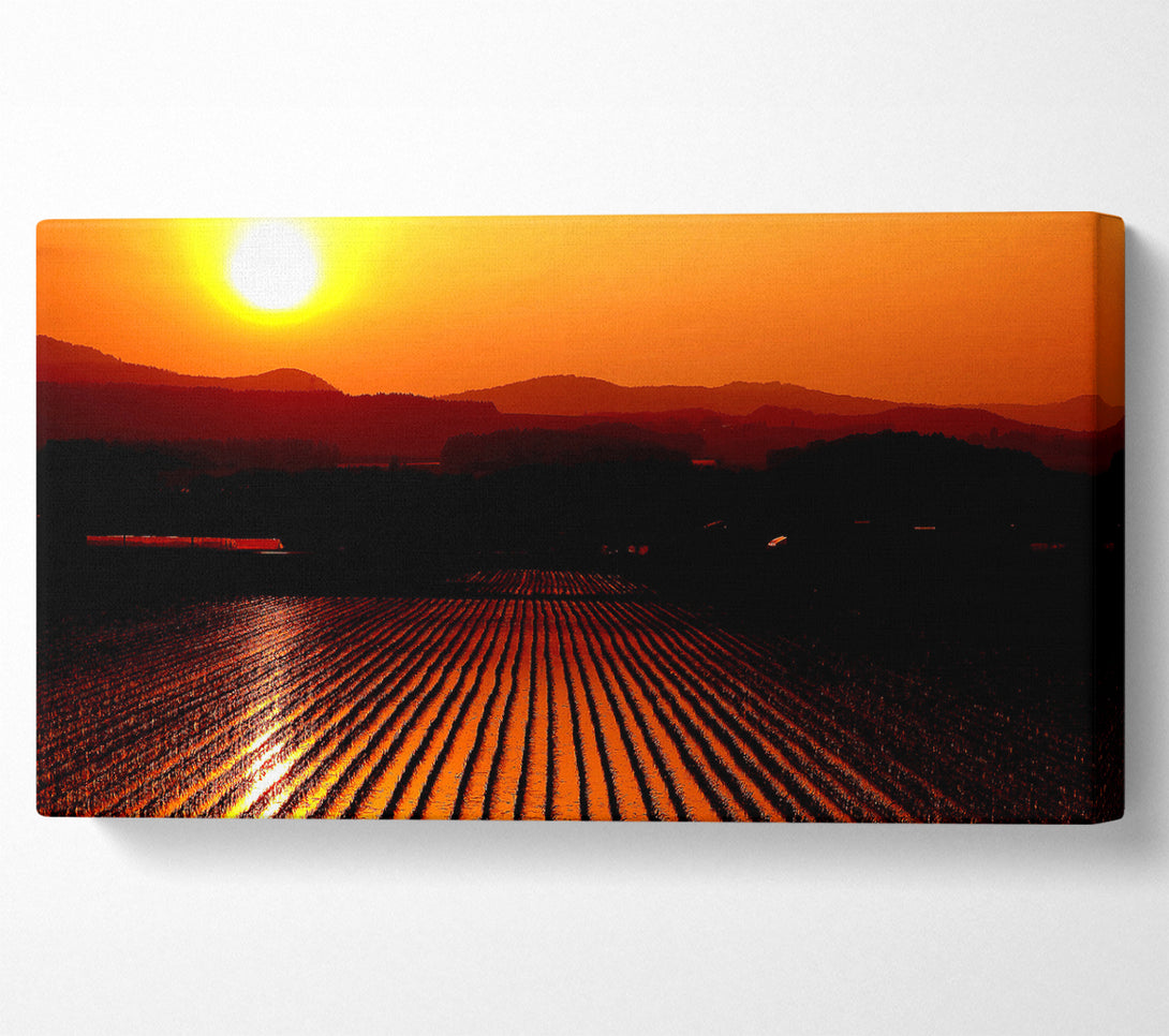  A Canvas Print of Rice Field Canvas Print