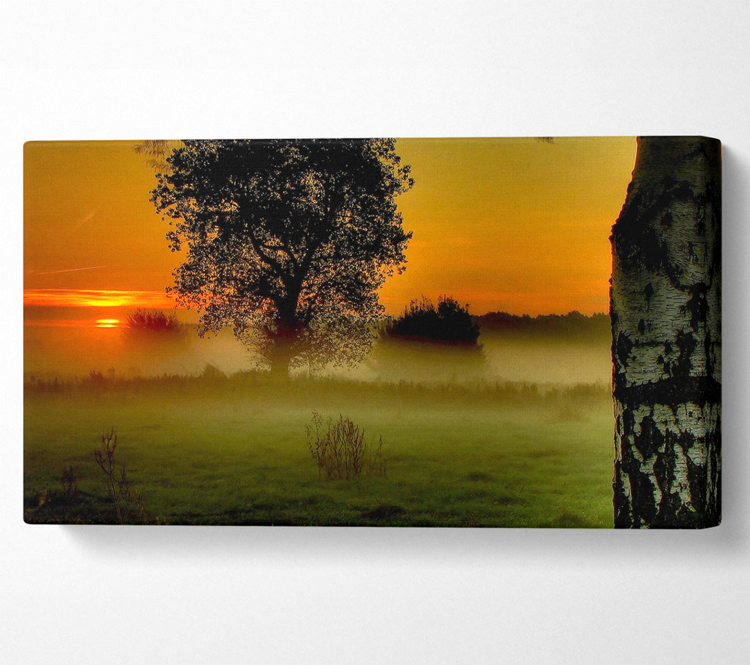  A Canvas Print of Morning Moment Canvas Art