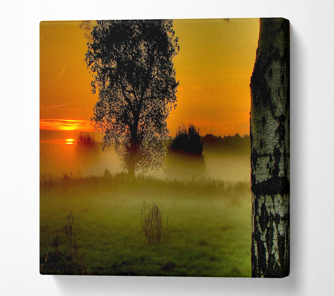  A Canvas Print of Morning Moment Canvas Art