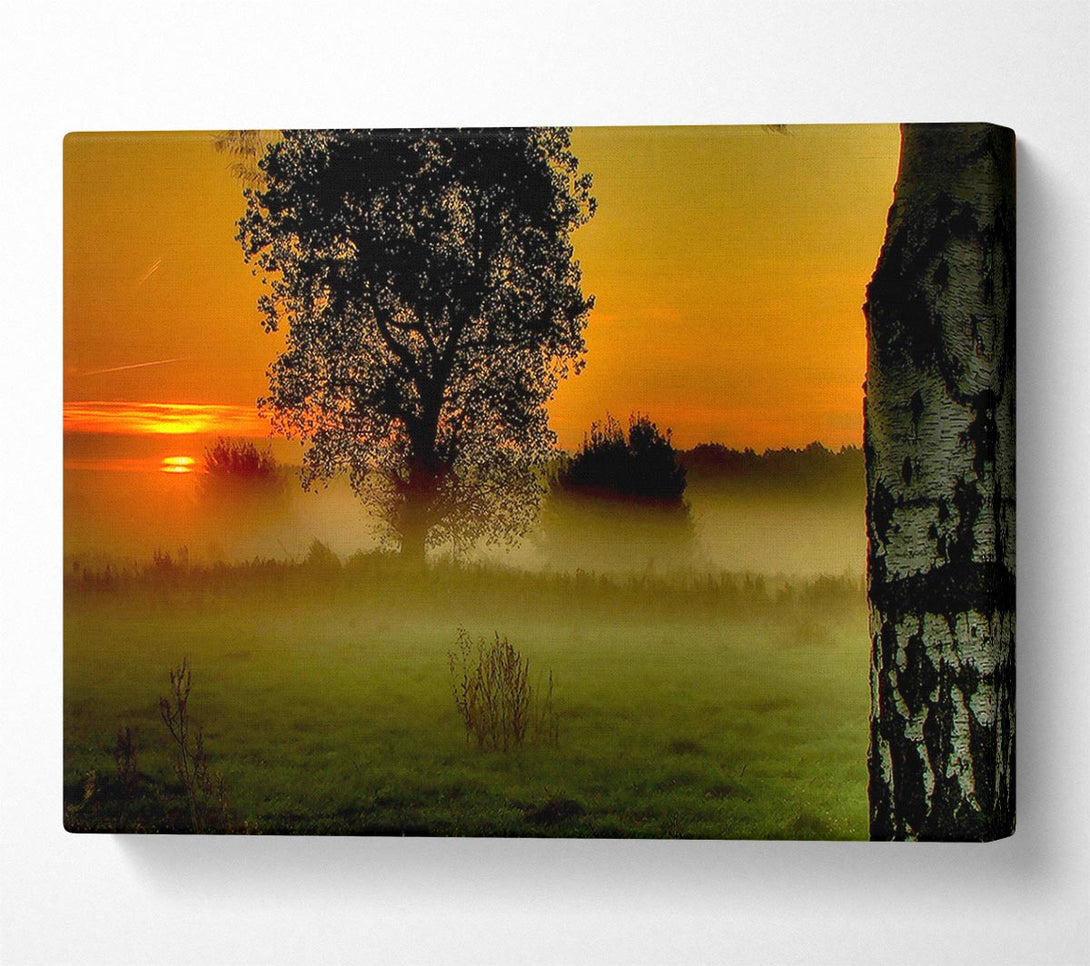 A Canvas Print of Morning Moment Canvas Art
