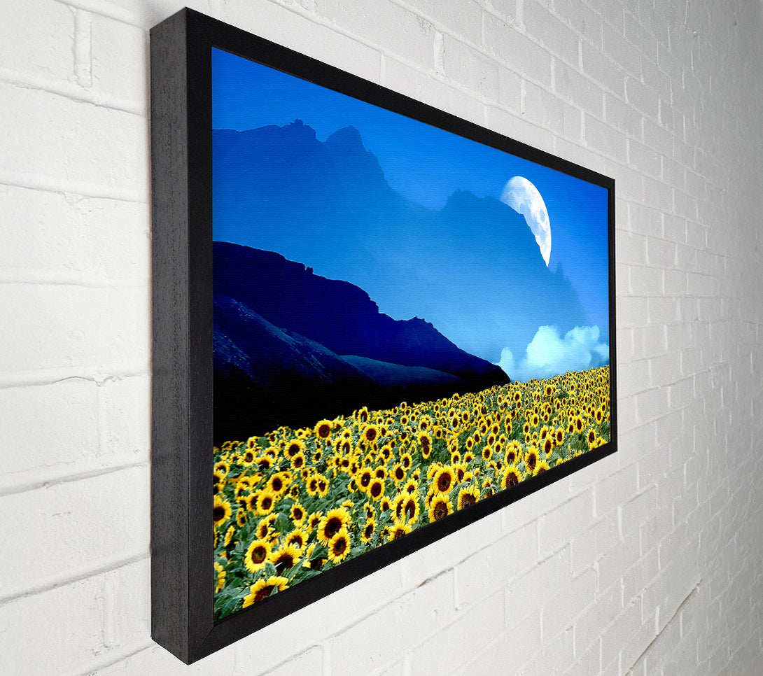  A Canvas Print of Field Of Illusions Canvas Wall Art