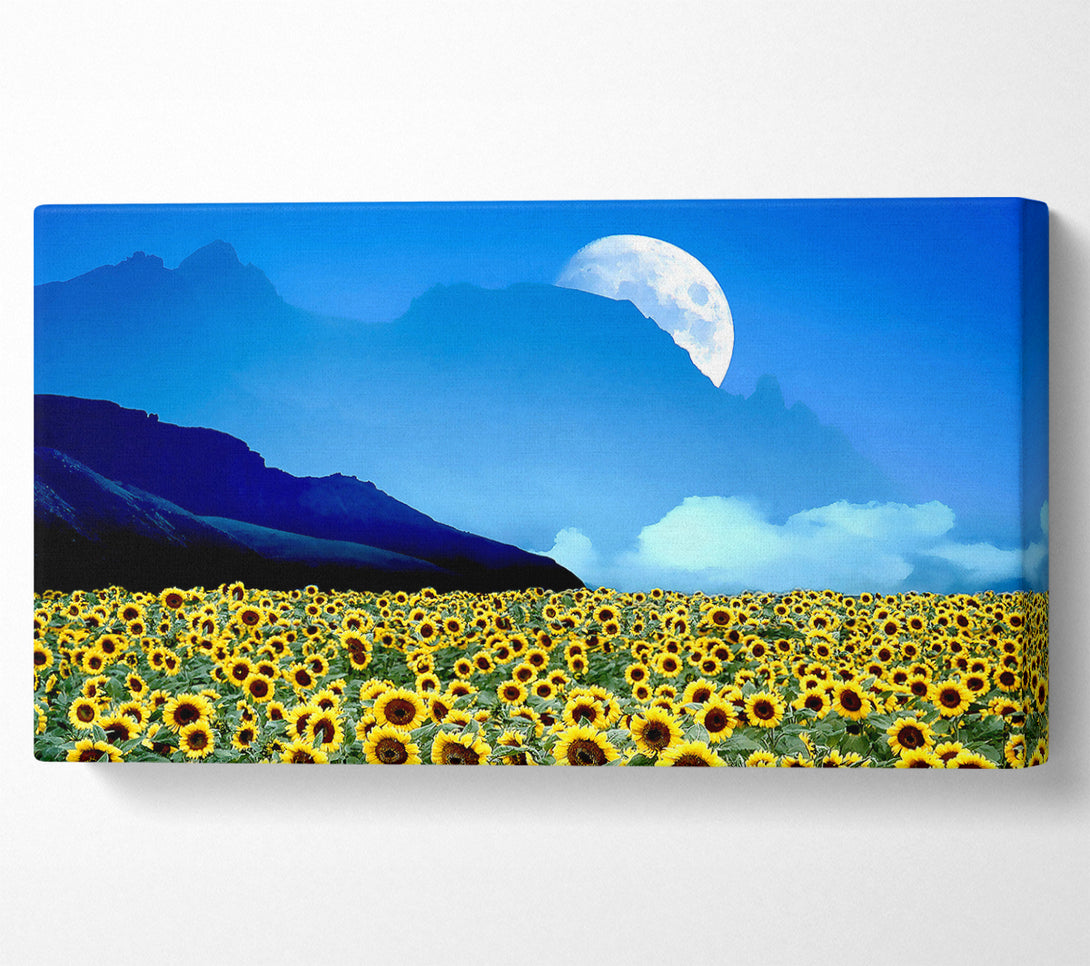  A Canvas Print of Field Of Illusions Canvas Wall Art