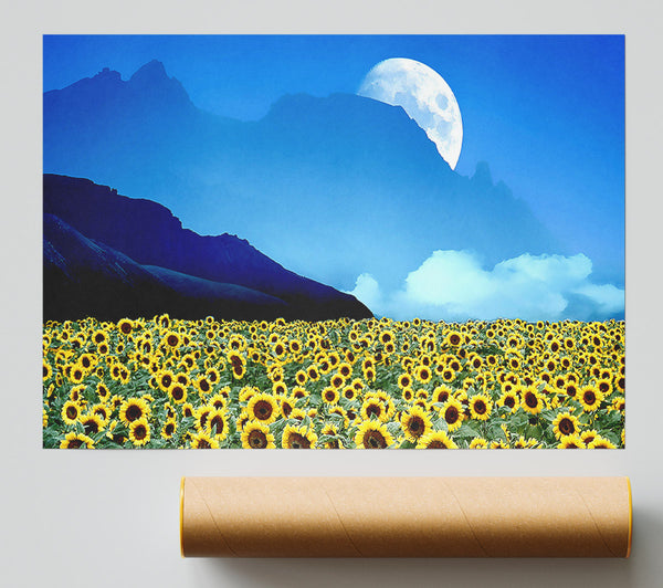 Field Of Illusions Print