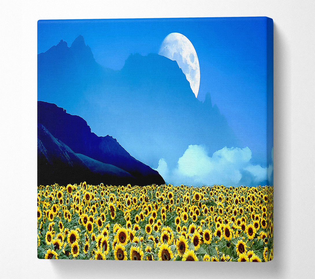  A Canvas Print of Field Of Illusions Canvas Wall Art