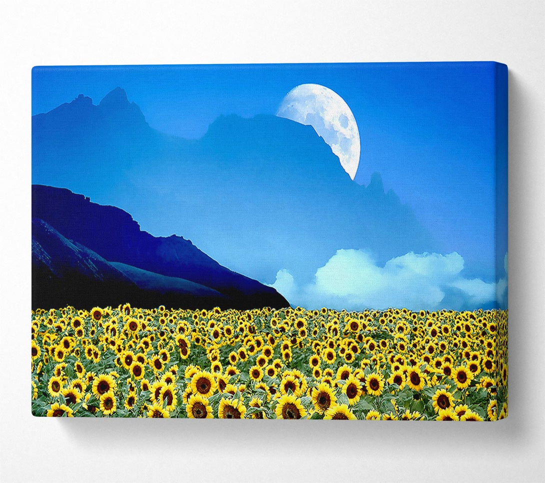  A Canvas Print of Field Of Illusions Canvas Wall Art