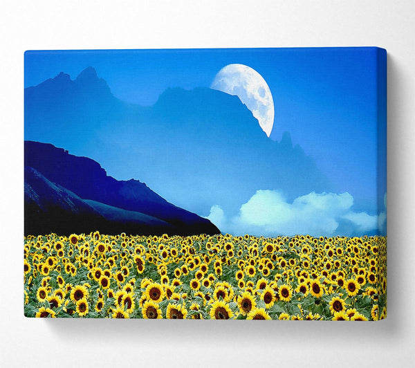  A Canvas Print of Field Of Illusions Canvas Wall Art