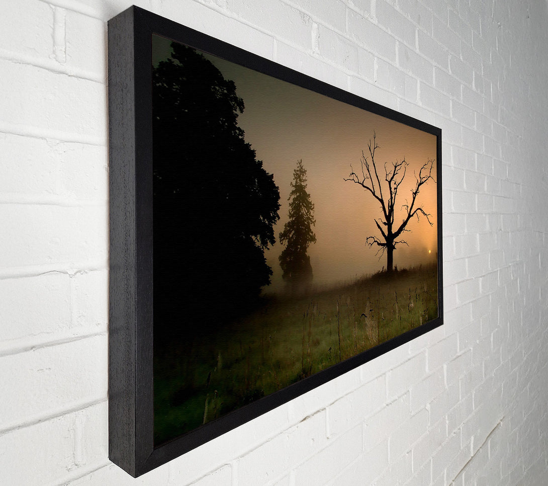  A Canvas Print of Winter Tree In The Mist Canvas Print