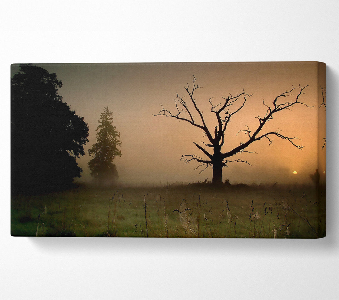  A Canvas Print of Winter Tree In The Mist Canvas Print