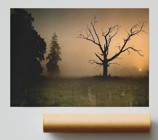 Winter Tree In The Mist Giclee Print