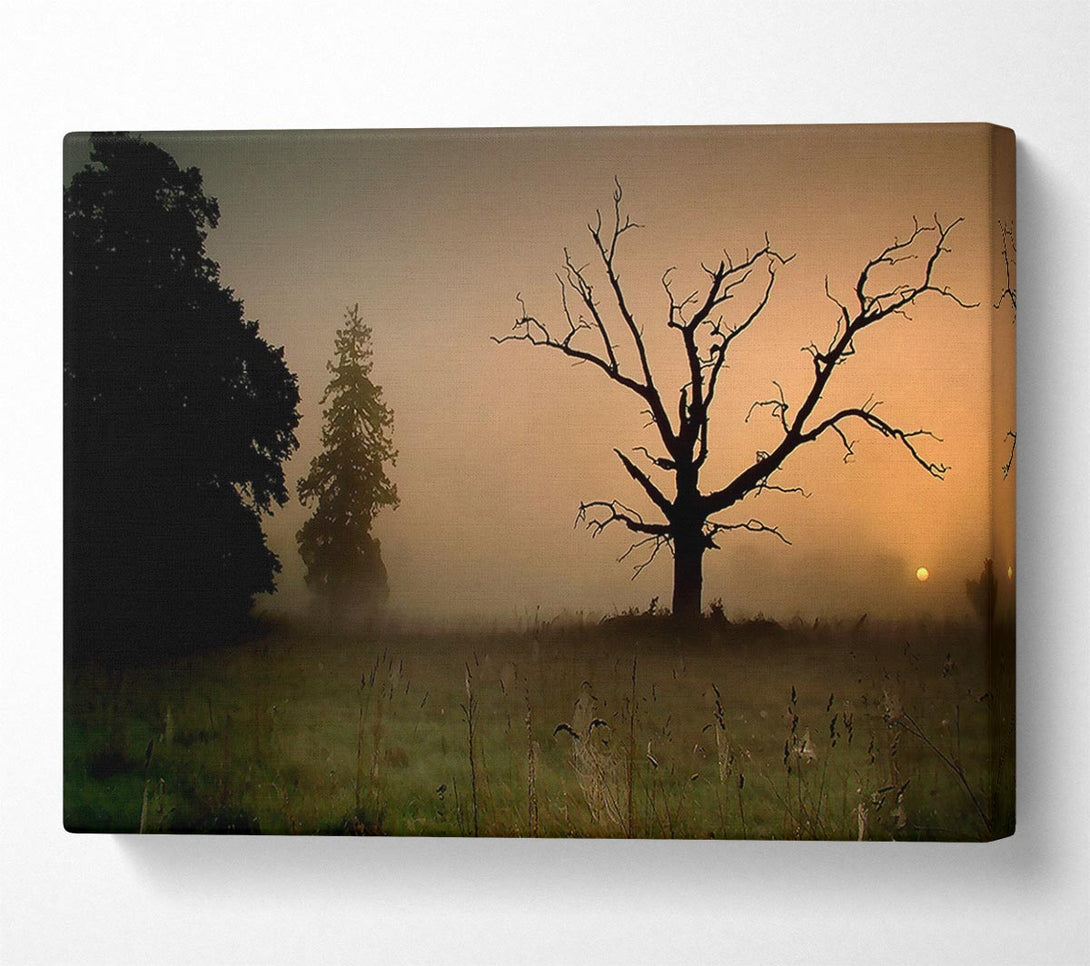  A Canvas Print of Winter Tree In The Mist Canvas Print