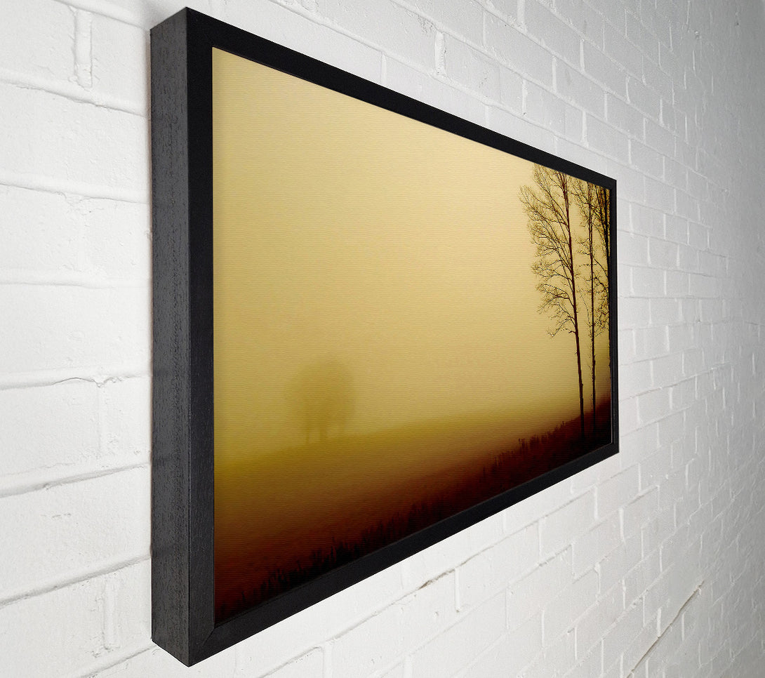  A Canvas Print of Naked Trees Canvas Art