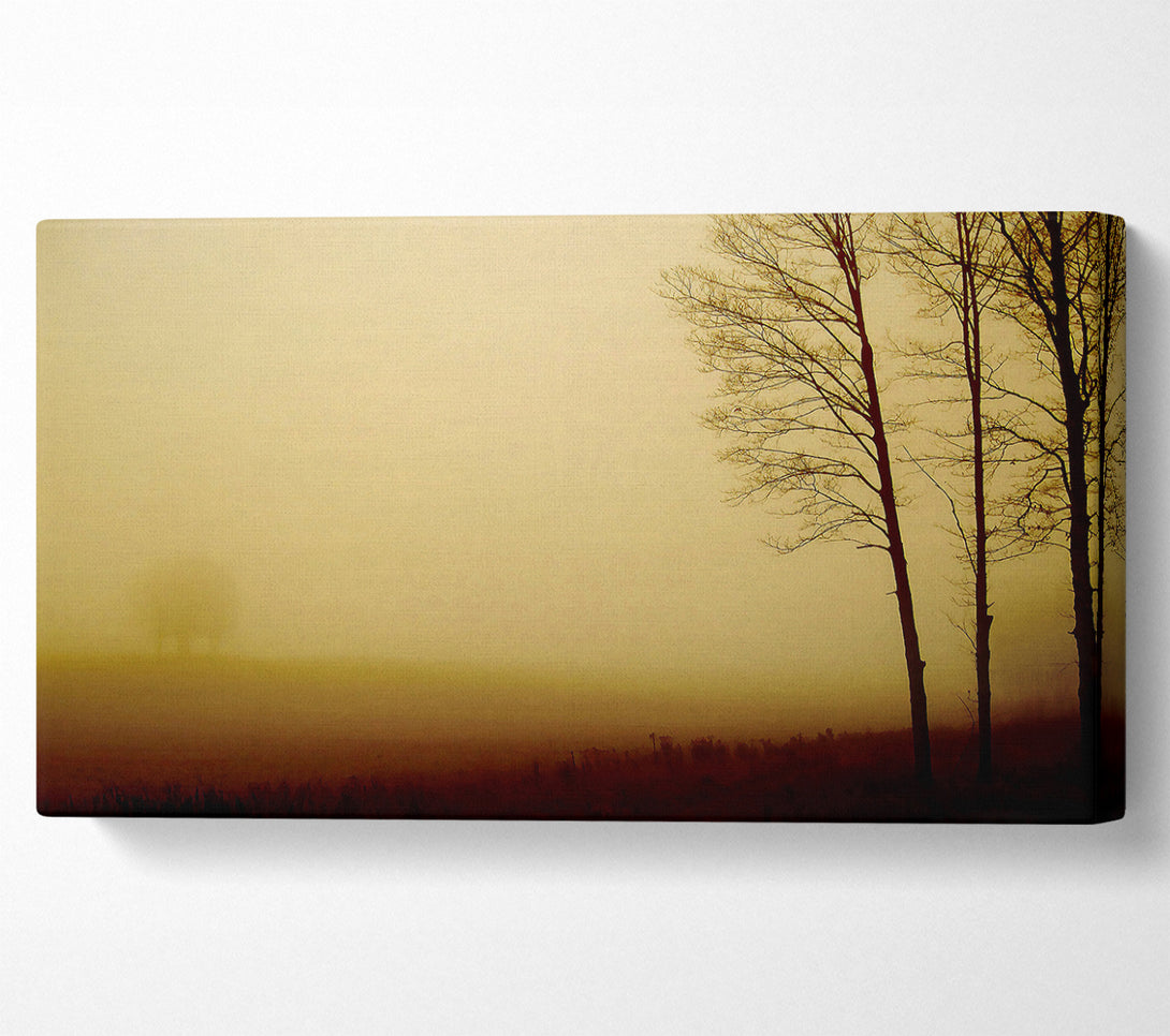  A Canvas Print of Naked Trees Canvas Art