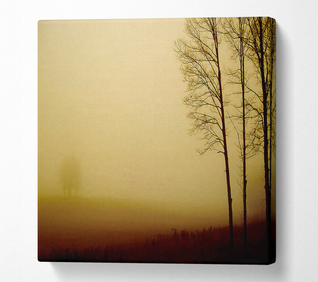  A Canvas Print of Naked Trees Canvas Art