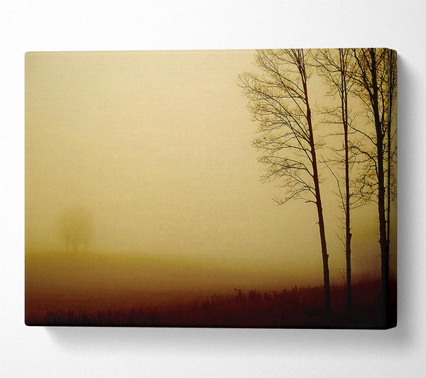  A Canvas Print of Naked Trees Canvas Art