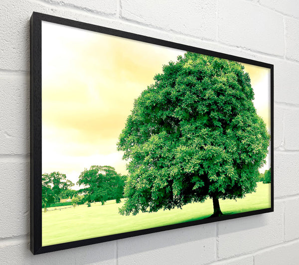 Green Tree