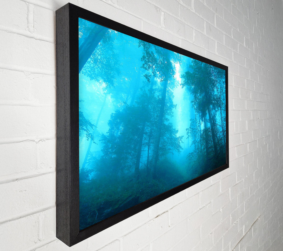  A Canvas Print of Foggy Forest Canvas Art
