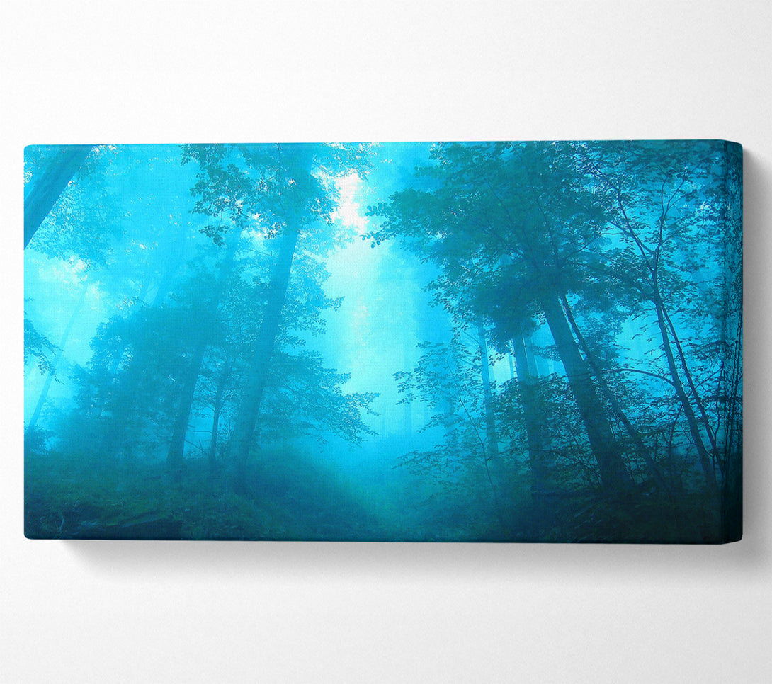  A Canvas Print of Foggy Forest Canvas Art