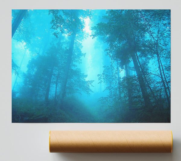 Foggy Forest Print