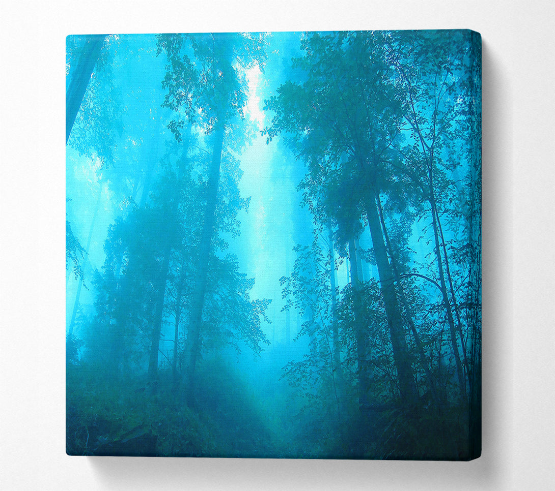  A Canvas Print of Foggy Forest Canvas Art