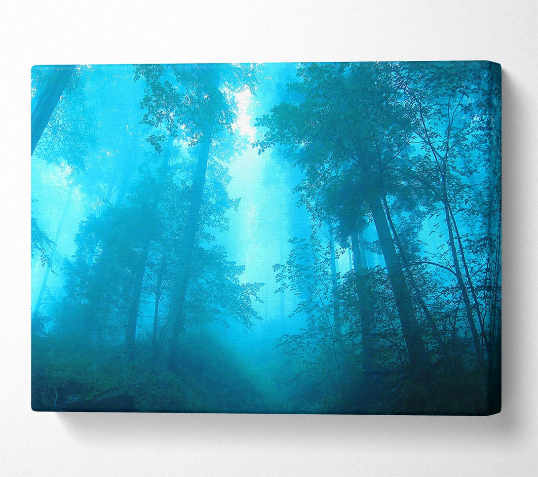  A Canvas Print of Foggy Forest Canvas Art