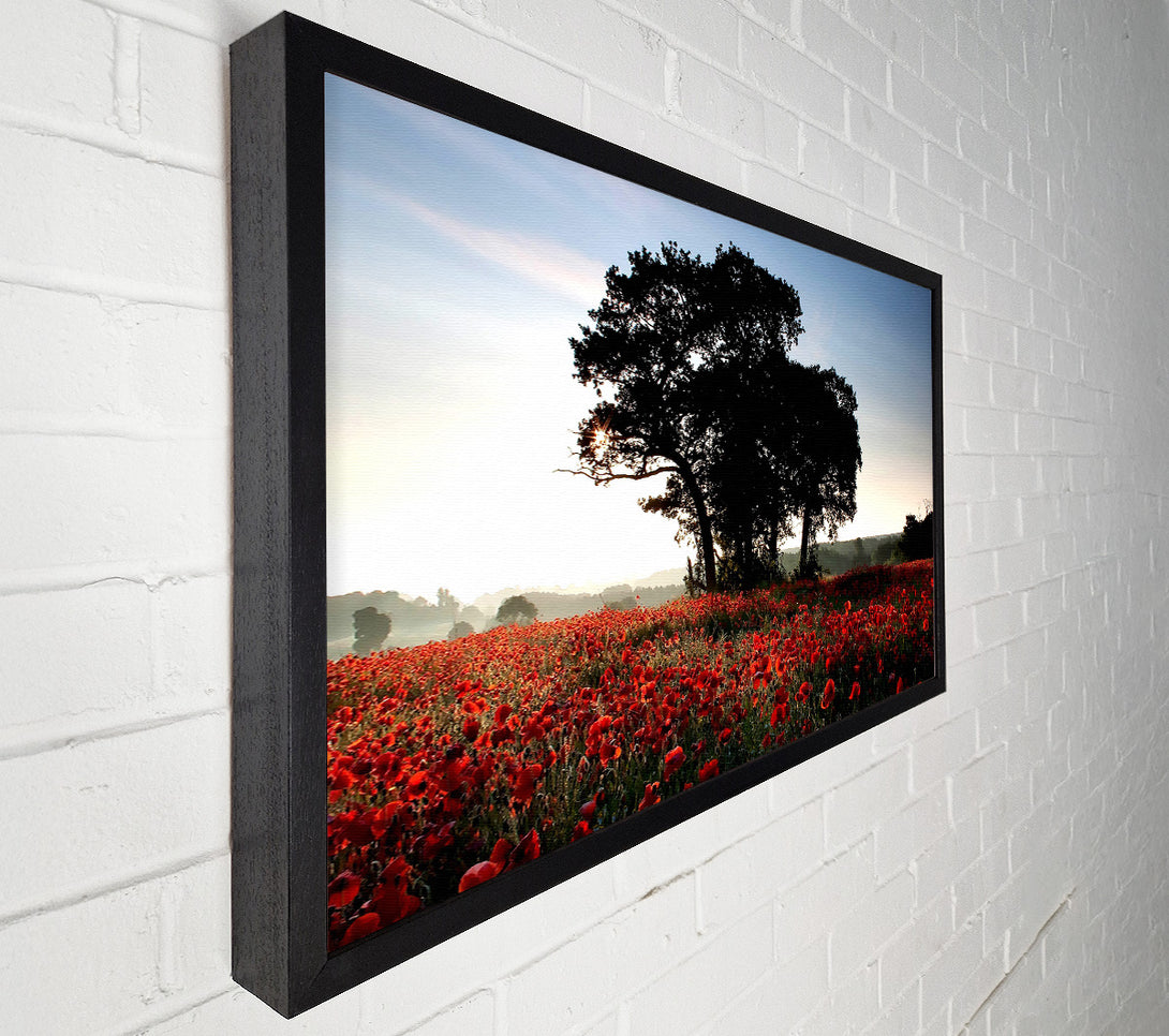  A Canvas Print of Sunset Poppy tree Canvas Wall Art
