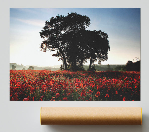 Sunset Poppy Tree Print