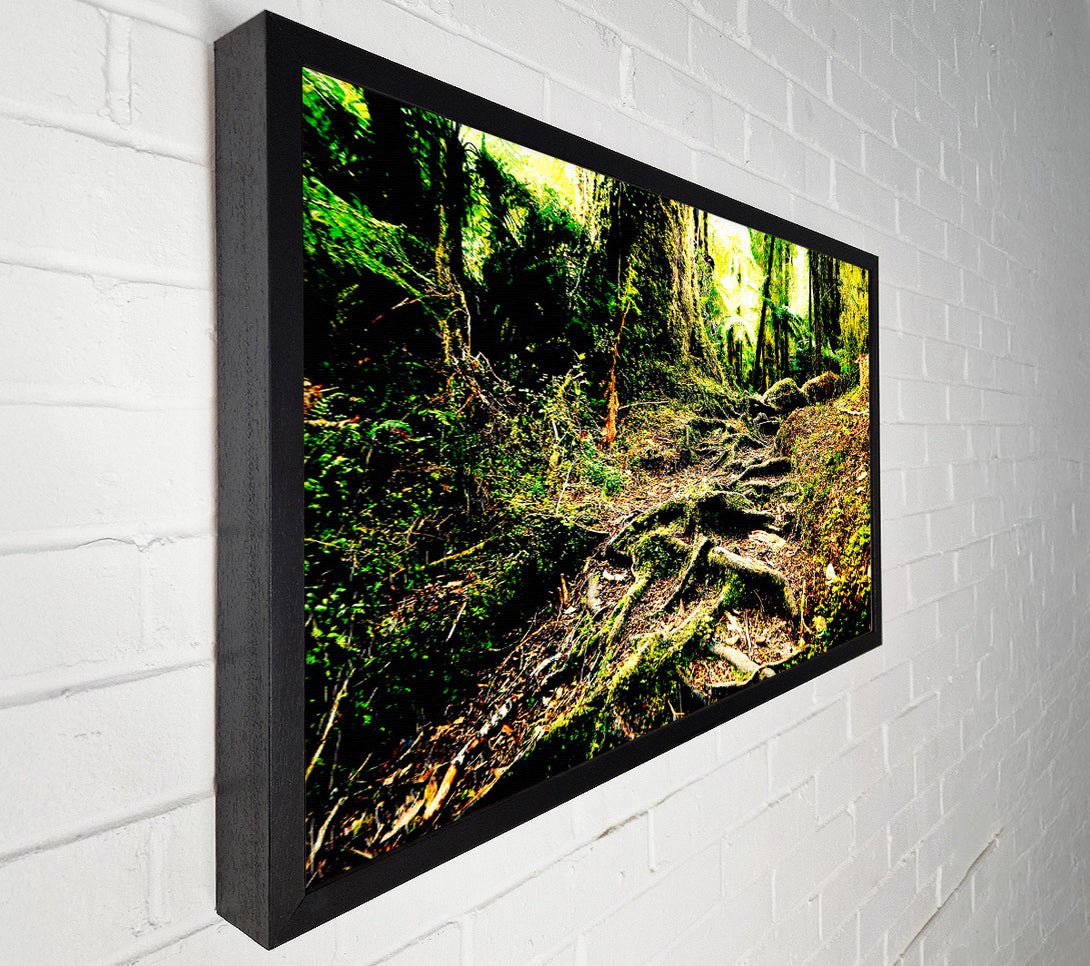  A Canvas Print of Roots Canvas Art
