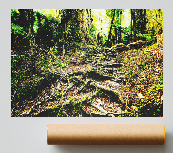 Roots Poster