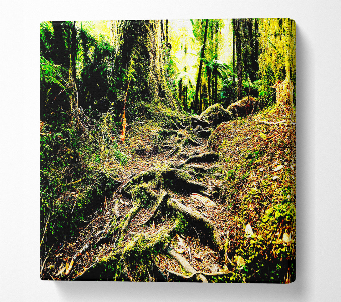  A Canvas Print of Roots Canvas Art