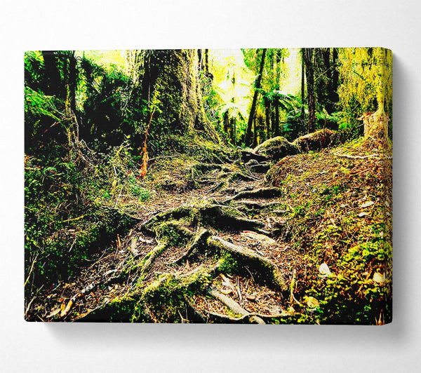  A Canvas Print of Roots Canvas Art