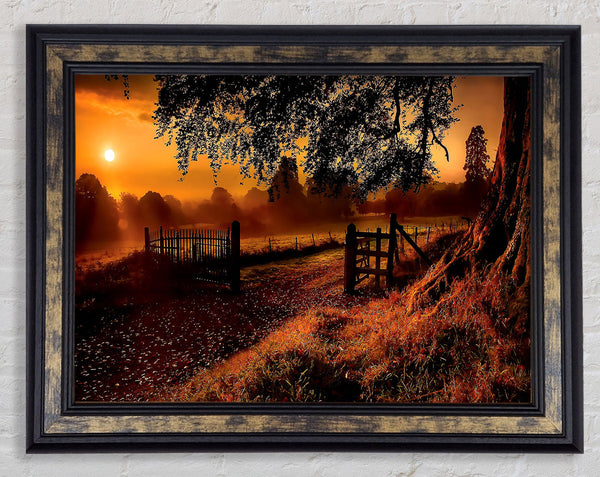Old Road Gate Framed Print