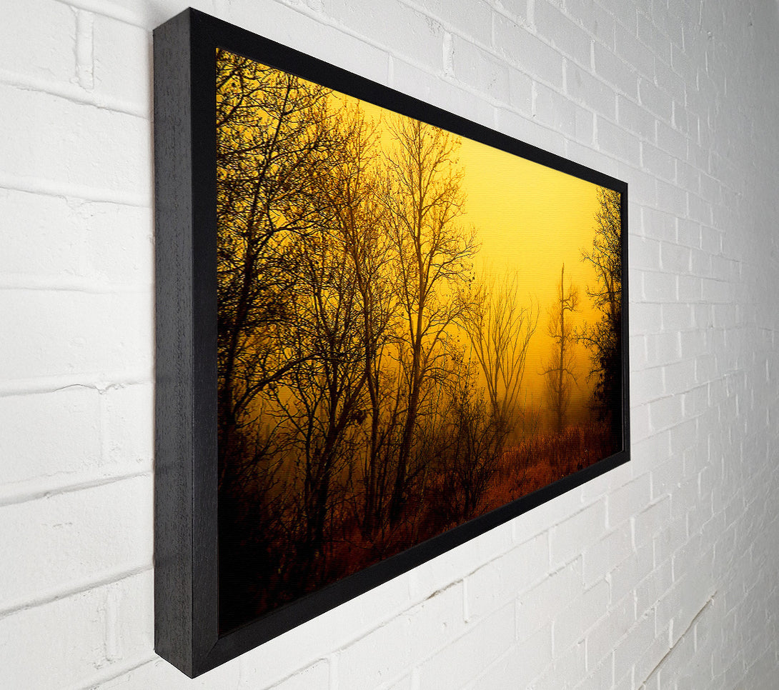  A Canvas Print of Stunning Golden Light In The Winter Forest Canvas Print