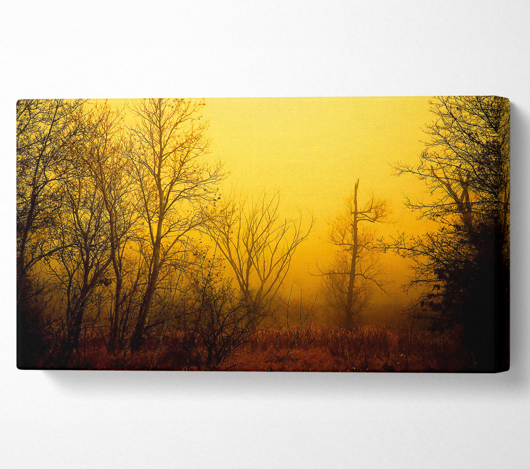  A Canvas Print of Stunning Golden Light In The Winter Forest Canvas Print