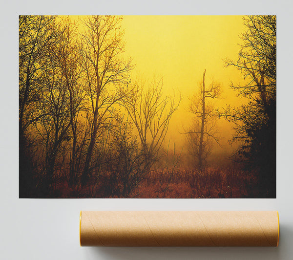 Stunning Golden Light In The Winter Forest Poster