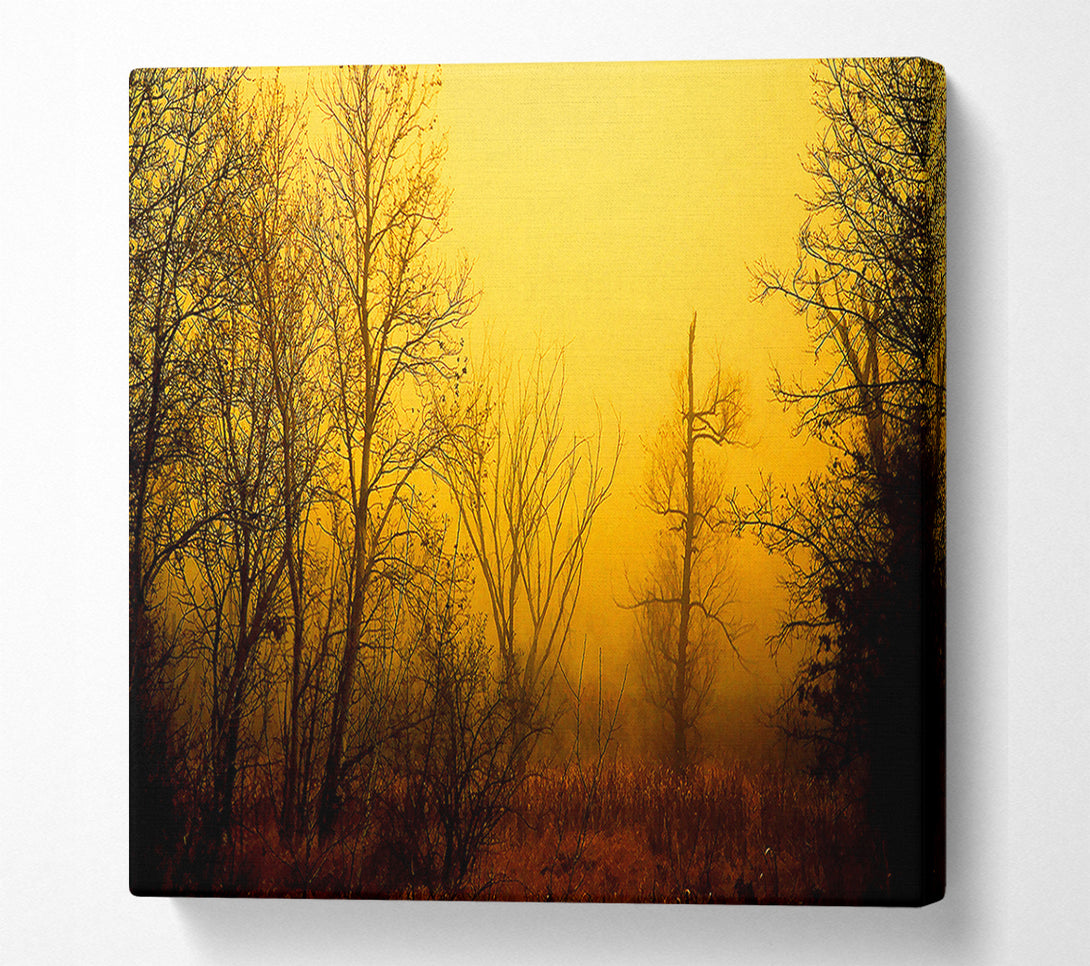  A Canvas Print of Stunning Golden Light In The Winter Forest Canvas Print