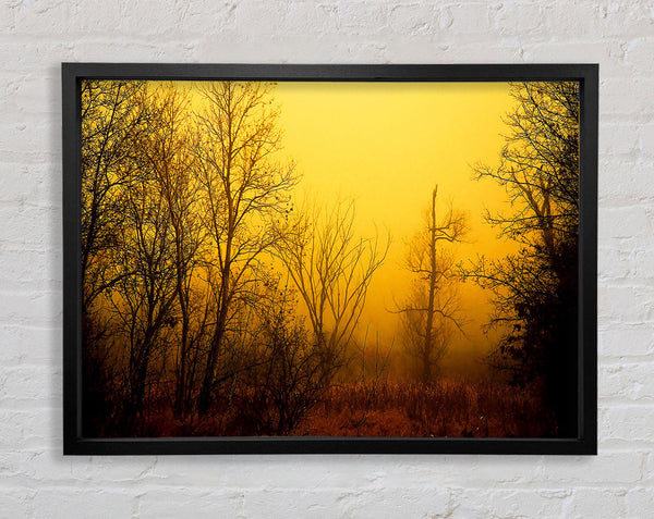 Atemberaubendes goldenes Licht im Winterwald