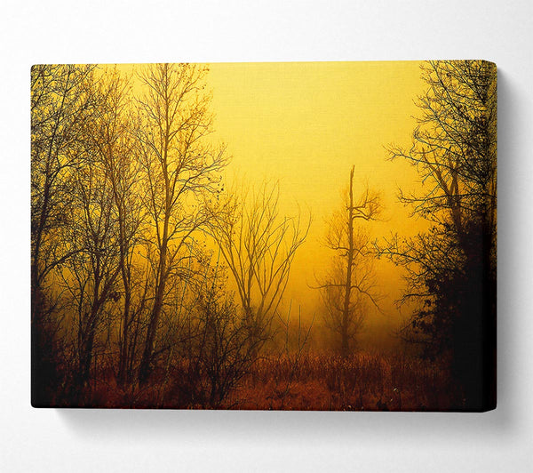  A Canvas Print of Stunning Golden Light In The Winter Forest Canvas Print