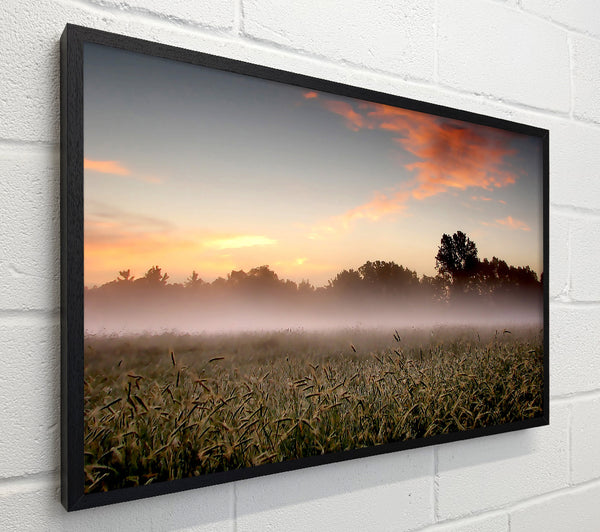 Early Morning Fog