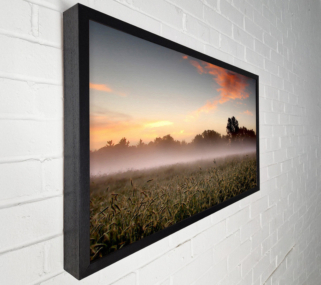  A Canvas Print of Early Morning Fog Canvas Print