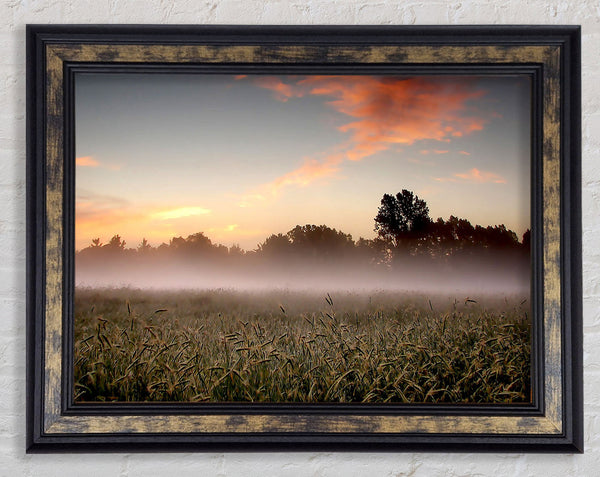 Early Morning Fog Framed Print