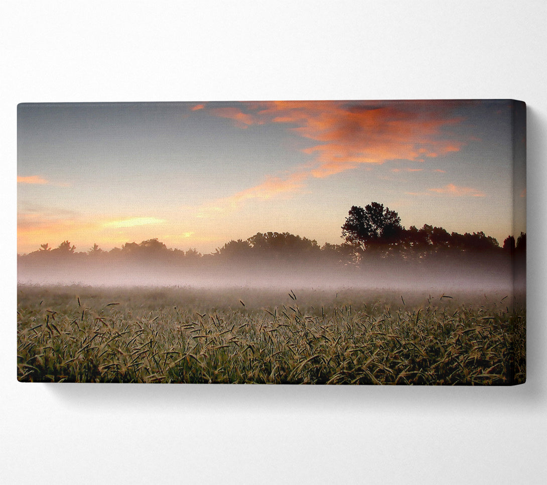  A Canvas Print of Early Morning Fog Canvas Print