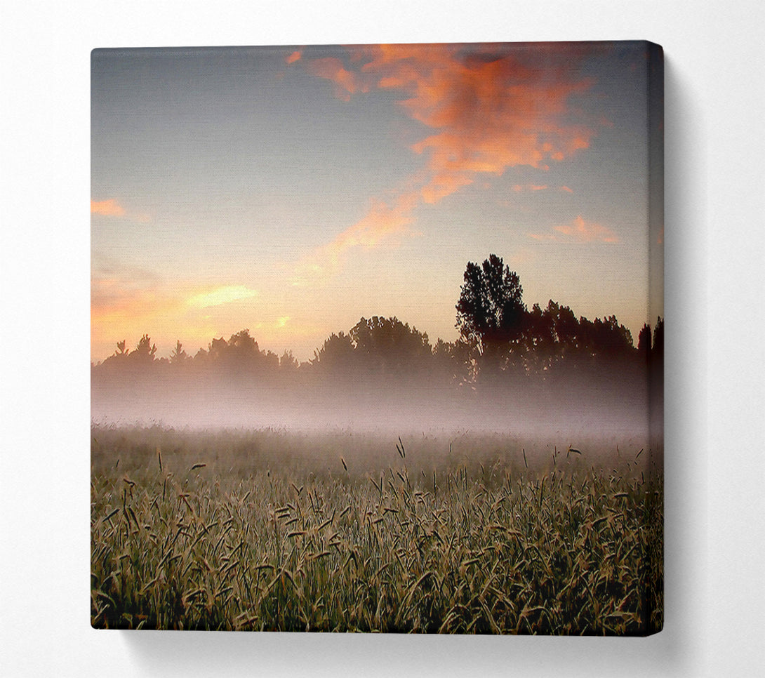  A Canvas Print of Early Morning Fog Canvas Print