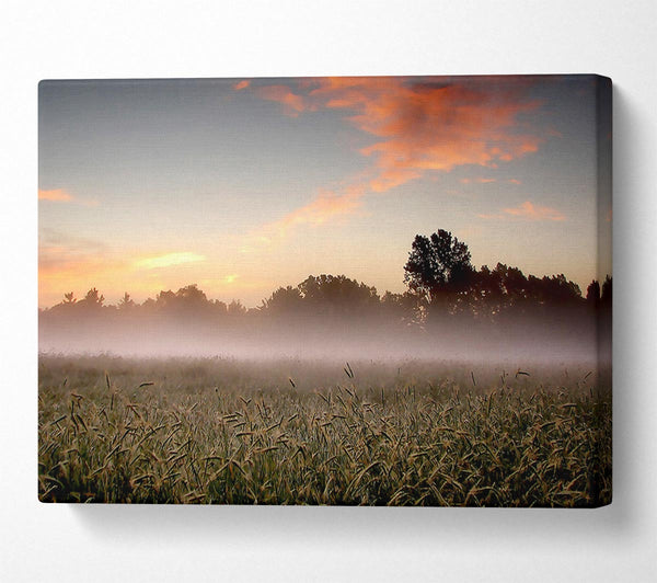  A Canvas Print of Early Morning Fog Canvas Print