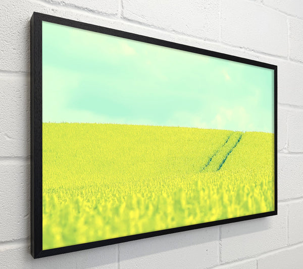 Beautiful Mustard Field