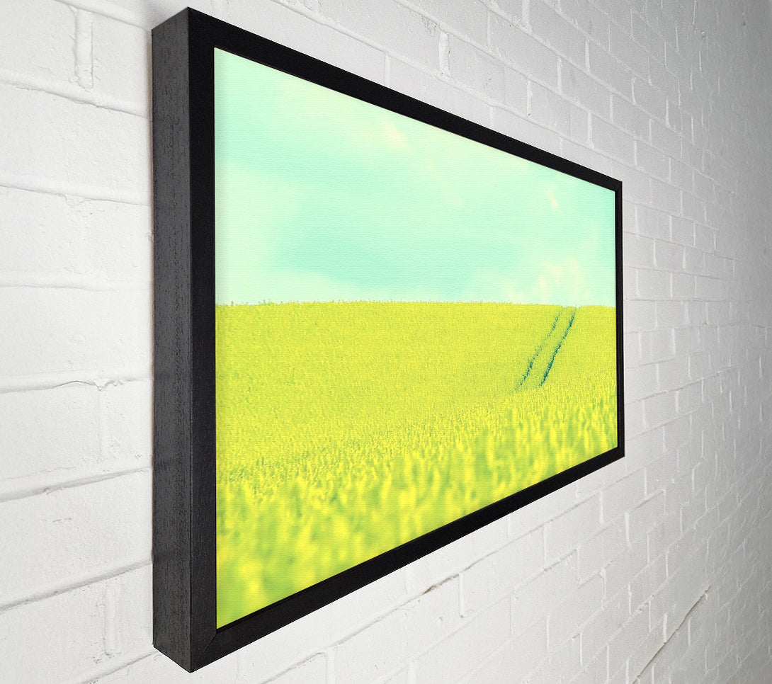 A Canvas Print of Beautiful Mustard Field Canvas Art