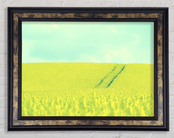 Beautiful Mustard Field Framed Print